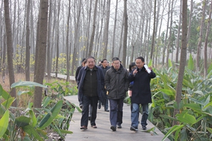 新宝会(中国区)有限公司-集团