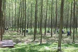 新宝会(中国区)有限公司-集团