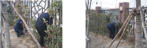 新宝会(中国区)有限公司-集团