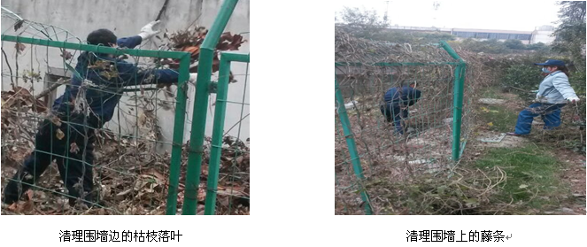 新宝会(中国区)有限公司-集团