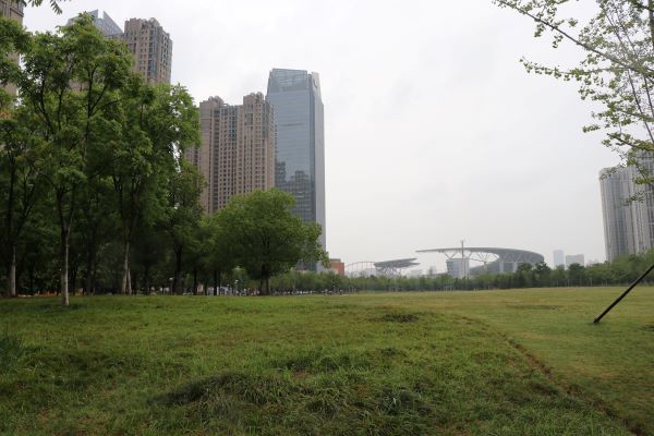 新宝会(中国区)有限公司-集团
