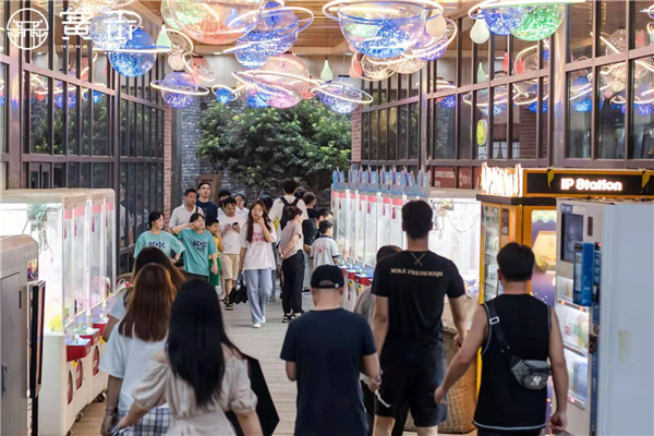 新宝会(中国区)有限公司-集团