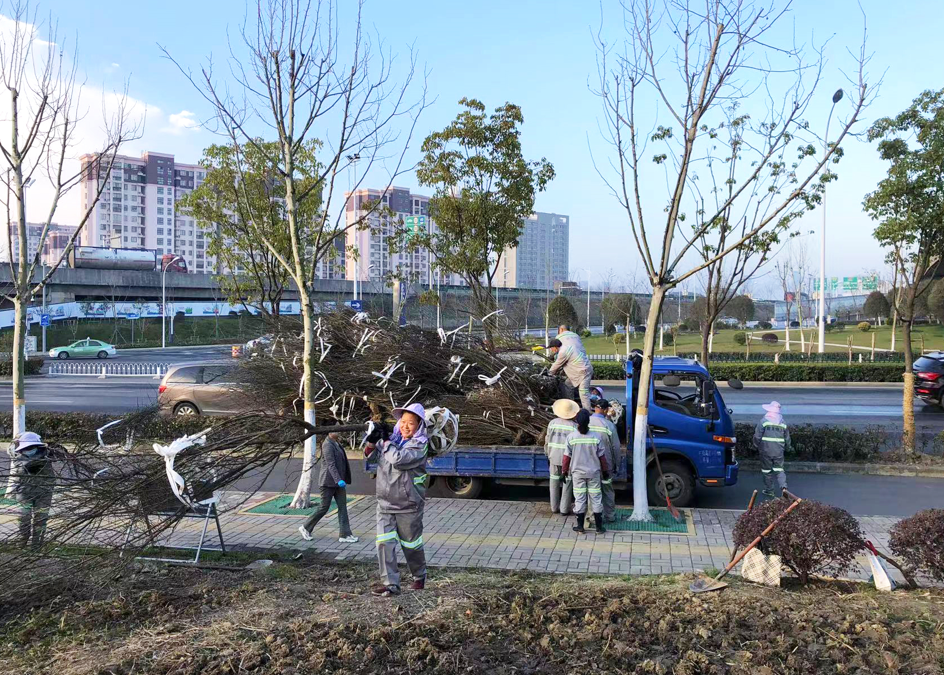 新宝会(中国区)有限公司-集团