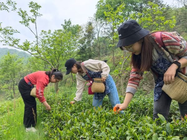 新宝会(中国区)有限公司-集团