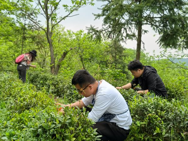 新宝会(中国区)有限公司-集团